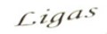Логотип бренда Ligas