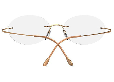 Оправа для очков Silhouette TMA MUST 5515-7530 - фото, цена в интернет-магазине Мода-Оптик Архангельск