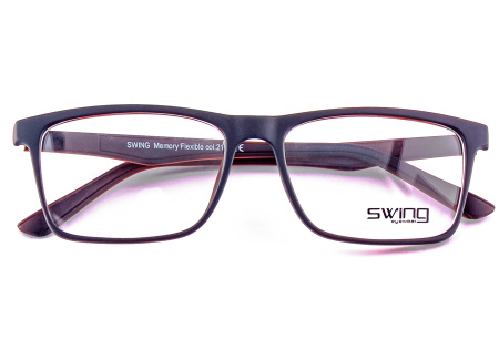Оправа для очков Swing 270 216 - фото, цена в интернет-магазине Мода-Оптик Архангельск