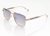 Очки солнцезащитные Despada 2330 1 - фото, цена в интернет-магазине Мода-Оптик Архангельск
