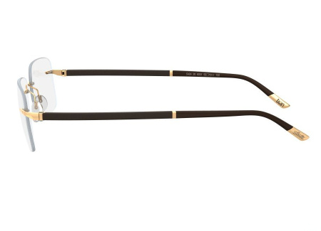 Оправа для очков Silhouette Hinge C-2 5424-6051 - фото, цена в интернет-магазине Мода-Оптик Архангельск