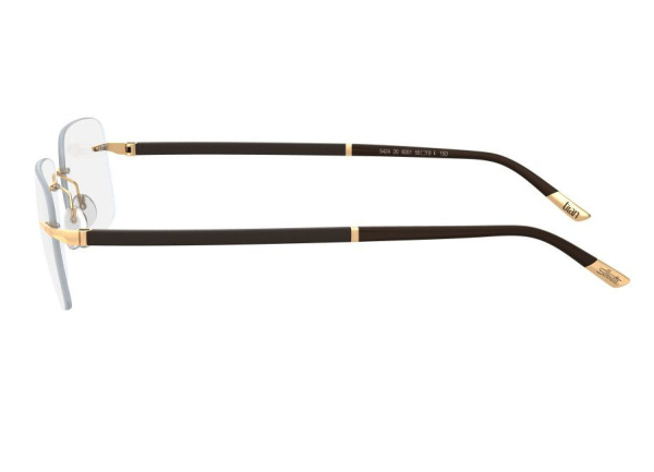 Оправа для очков Silhouette Hinge C-2 5424-6051 - фото, цена в интернет-магазине Мода-Оптик Архангельск