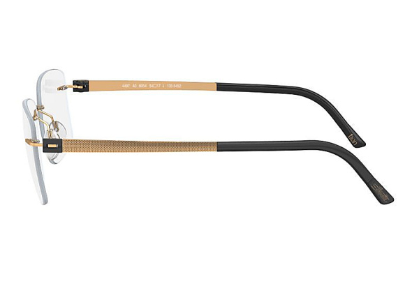 Оправа для очков Silhouette TitanAccent 5450 6051 - фото, цена в интернет-магазине Мода-Оптик Архангельск