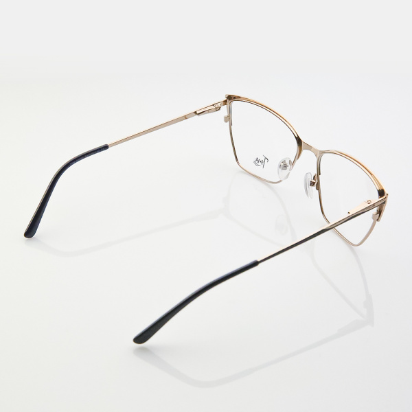 Оправа для очков Tsna TSN 22007 C5 - фото, цена в интернет-магазине Мода-Оптик Архангельск