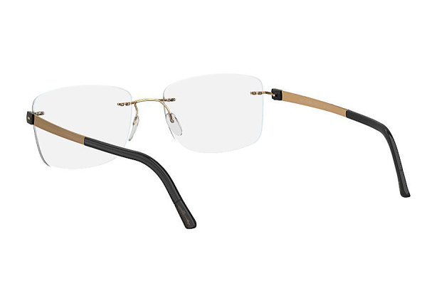 Оправа для очков Silhouette TitanAccent 5450 6051 - фото, цена в интернет-магазине Мода-Оптик Архангельск