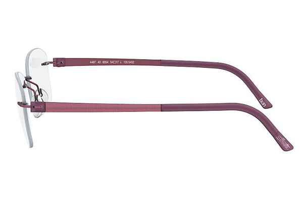 Оправа для очков Silhouette Titan Accent 4494-6057 - фото, цена в интернет-магазине Мода-Оптик Архангельск