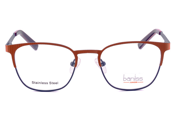 Оправа для очков Baniss BRJ2100 03 - фото, цена в интернет-магазине Мода-Оптик Архангельск