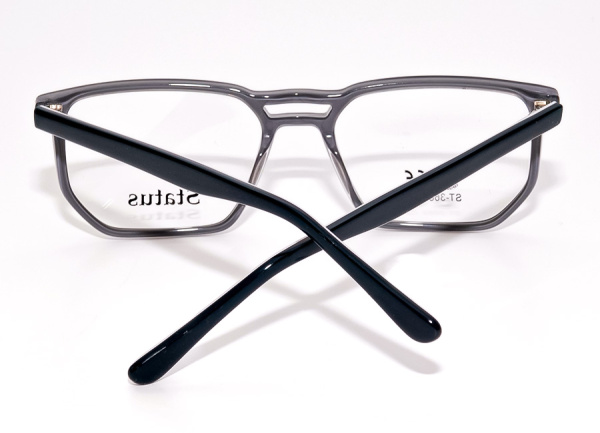 Оправа для очков Status 3683 2 - фото, цена в интернет-магазине Мода-Оптик Архангельск