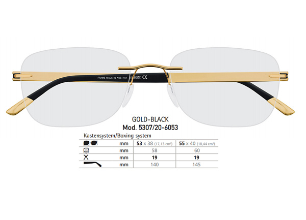 Оправа для очков Silhouette Riviera 5307-6053 - фото, цена в интернет-магазине Мода-Оптик Архангельск