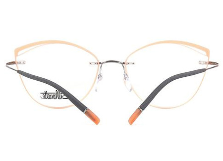 Оправа для очков Silhouette TMA Icon AccentRings 5518 FU-7010 - фото, цена в интернет-магазине Мода-Оптик Архангельск