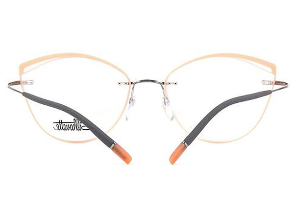 Оправа для очков Silhouette TMA Icon AccentRings 5518 FU-7010 - фото, цена в интернет-магазине Мода-Оптик Архангельск
