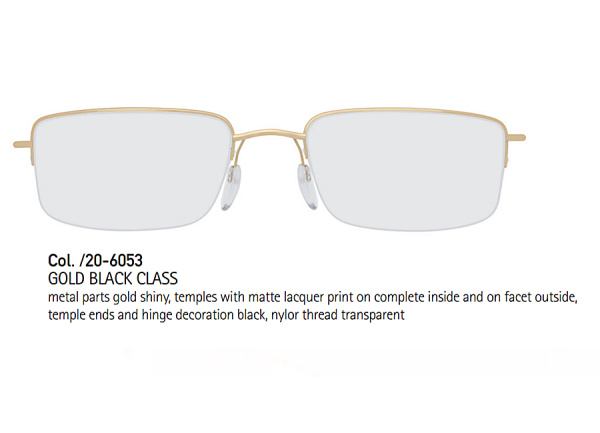 Оправа для очков Silhouette 5276-6053 - фото, цена в интернет-магазине Мода-Оптик Архангельск