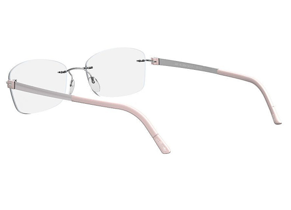 Оправа для очков Silhouette Titan Accent 4498 6052 - фото, цена в интернет-магазине Мода-Оптик Архангельск