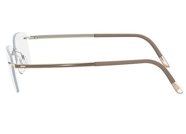 Оправа для очков Silhouette Fusion 5473 - 6051 - фото, цена в интернет-магазине Мода-Оптик Архангельск