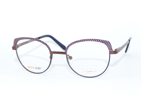 Оправа для очков Baniss BRJ2103 03 - фото, цена в интернет-магазине Мода-Оптик Архангельск