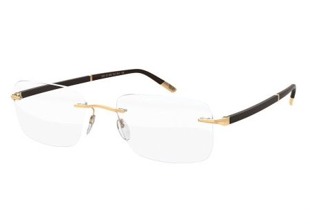 Оправа для очков Silhouette Hinge C-2 5424-6051 - фото, цена в интернет-магазине Мода-Оптик Архангельск