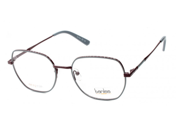 Оправа для очков Baniss BRJ2100 02 - фото, цена в интернет-магазине Мода-Оптик Архангельск