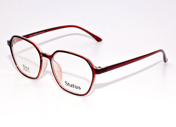 Оправа для очков Status 3835 2 - фото, цена в интернет-магазине Мода-Оптик Архангельск