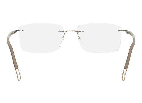 Оправа для очков Silhouette Fusion 5473 - 6051 - фото, цена в интернет-магазине Мода-Оптик Архангельск