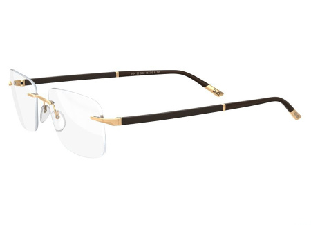 Оправа для очков Silhouette Hinge C-2 5424-6051 - фото, цена в интернет-магазине Мода-Оптик Архангельск
