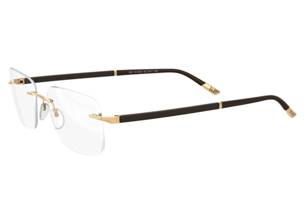 Оправа для очков Silhouette Hinge C-2 5424-6051 - фото, цена в интернет-магазине Мода-Оптик Архангельск