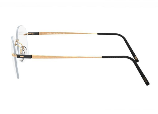Оправа для очков Silhouette Racing Collection 5502 BQ-7530 - фото, цена в интернет-магазине Мода-Оптик Архангельск