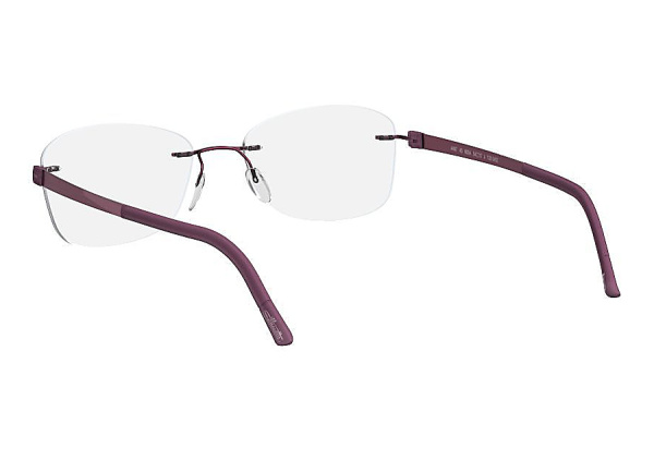 Оправа для очков Silhouette Titan Accent 4494-6057 - фото, цена в интернет-магазине Мода-Оптик Архангельск