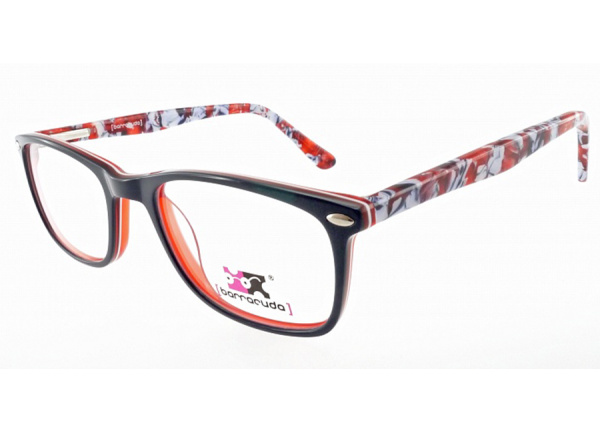 Оправа для очков Barracuda BS 804 1 - фото, цена в интернет-магазине Мода-Оптик Архангельск