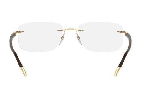 Оправа для очков Silhouette Hinge C-2 5424-6051 - фото, цена в интернет-магазине Мода-Оптик Архангельск