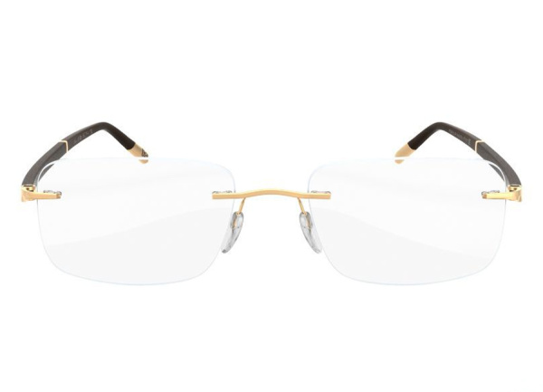 Оправа для очков Silhouette Hinge C-2 5424-6051 - фото, цена в интернет-магазине Мода-Оптик Архангельск