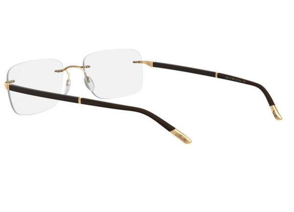 Оправа для очков Silhouette Hinge C-2 5424-6051 - фото, цена в интернет-магазине Мода-Оптик Архангельск